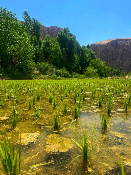 shlezhr Iran